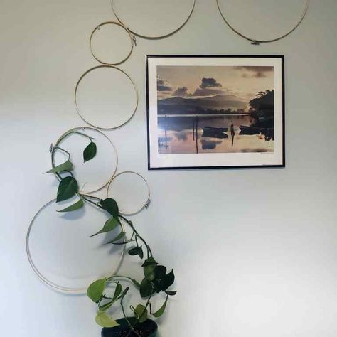 Diy Wall Trellis Indoor, Trailing Pothos Wall, Macrame Plant Trellis, Diy Pothos Trellis, Diy Circle Trellis, Pothos Trellis, Make A Trellis, House Greenery, Circle Trellis