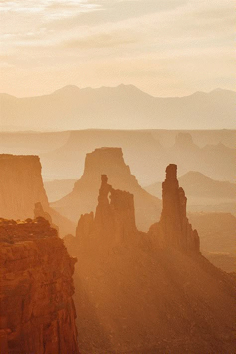 Landscape References, Wow Photo, Desert Aesthetic, Coconut Bowls, Something Wild, Landscape Reference, Canyonlands National Park, Landscape Photography Nature, Utah National Parks