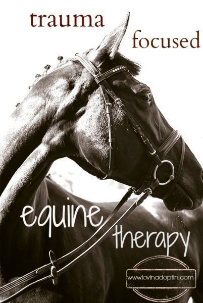 I found this information in an email from The Child Trauma Academy on Spirit Reins Equine Therapy: “Participants learned that the brains of “prey” animals, such as horses, are org… Equine Therapy Activities, Equine Facility Design, Therapeutic Horseback Riding, Therapeutic Riding, Reading Suggestions, Animal Therapy, Horse Behavior, Therapeutic Recreation, Equestrian Quotes