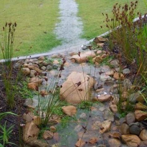 Gardening For Rainwater: Bioswales and Dry Creek Beds | Save Tarrant Water