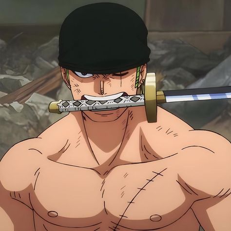 One Piece Pfp, Wan Pīsu, Adventure Fiction, Zoro One Piece, Drawing Expressions, One Piece Comic, One Piece Pictures, Fictional Crushes, Roronoa Zoro