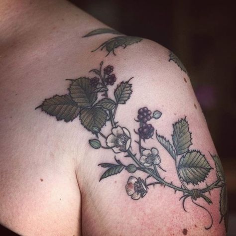 Tattoo uploaded by Xavier • Garden-inspired tattoo by Alice Carrier. #AliceCarrier #flower #garden #plant #neotraditional • 172244 • Tattoodo Diana Severinenko, Blackberry Tattoo, Wonderland Tattoo, Daisy Tattoo, Botanical Tattoo, Book Tattoo, Skin Art, Unique Tattoos, Tattoos With Meaning