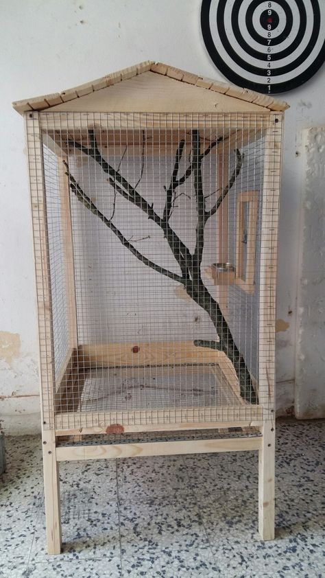 Parrot Cage Ideas Indoor, Parakeet Aviary Indoor, Diy Parakeet Cage Ideas, Bird Cage Diy Homemade, Diy Bird Aviary Indoor, Diy Budgie Cage, Lovebird Cage Ideas, Diy Bird Cage How To Make, Parrot Cage Ideas Design