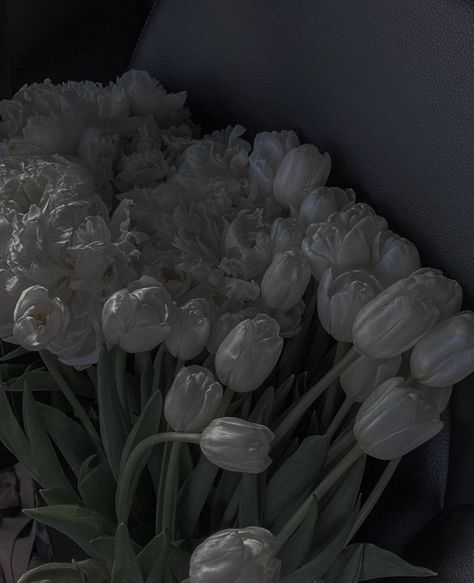 Grey And White Asethic, Black And White Asethic, Dark Asethic, Alexa + Core + Aesthetic, Dark Feeds, Dark White, Dark Paradise, Gray Aesthetic, White Tulips