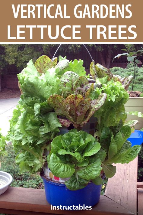 Growing more food in less space is what vertical gardening is all about. Lettuce trees are an easy and compact way to have fresh veggies on hand. #Instructables #gardening #outdoors #vegetables #irrigation #planter Lettuce Planters, Planting Lettuce In Containers, Tower Garden Diy, Planting Lettuce, Garden Landscape Ideas, Growing Lettuce, Vertical Planter, Tower Garden, Vertical Gardening