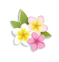 White Background Drawing, Flower White Background, Realistic Flower Drawing, Flower On White Background, Wedding Symbols, Cartoons Dp, Sparkles Background, Flowers Vector, Plumeria Flowers