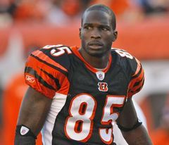 Paul Brown Stadium, Chad Ochocinco, Montreal Alouettes, Trash Talk, Canadian Football League, Cheryl Burke, Bengals Football, Flexible Dieting, Gone With The Wind