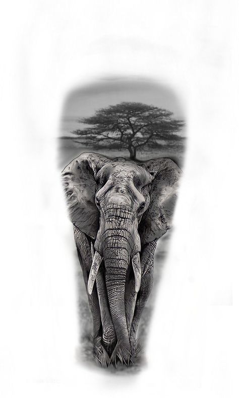 Elephant Tattoos Men Forearm, Elephant Tattoos Men Leg, Safari Tattoo Design, Elephant Art Tattoo, Realistic Elephant Tattoo, Africa Tattoos, Animal Sleeve Tattoo, Cherub Tattoo, African Tattoo