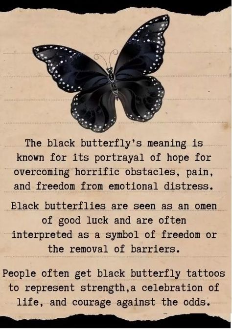 My Butterfly, Black Butterfly, A Butterfly, Poetry Quotes, Google Photos, Tattoo Ideas, Butterflies, Poetry, Tattoos