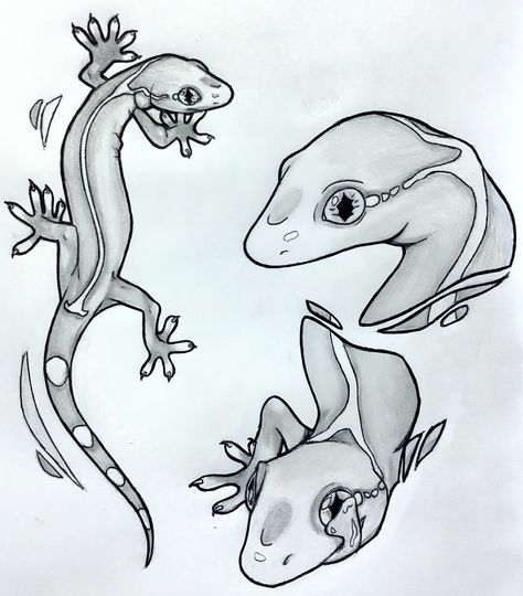 Lizard Pencil Drawing, Lizard Reference Drawing, Lizard Sketch Simple, Goanna Lizard Drawing, Lizard Head Drawing, Lizard Line Art, Geko Lizard Drawing, How To Draw Lizard, Lizard Tattoo Cute