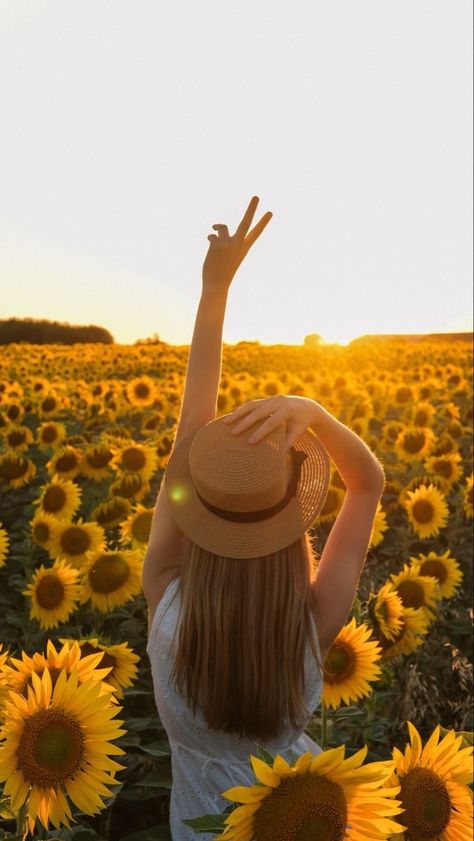 Sunflower Shoot, Sunflower Field Photography, Sunflower Field Pictures, Sunflower Photoshoot, Gallery Frame Set, A Field Of Sunflowers, Mother Daughter Pictures, Field Of Sunflowers, Sunflower Photography