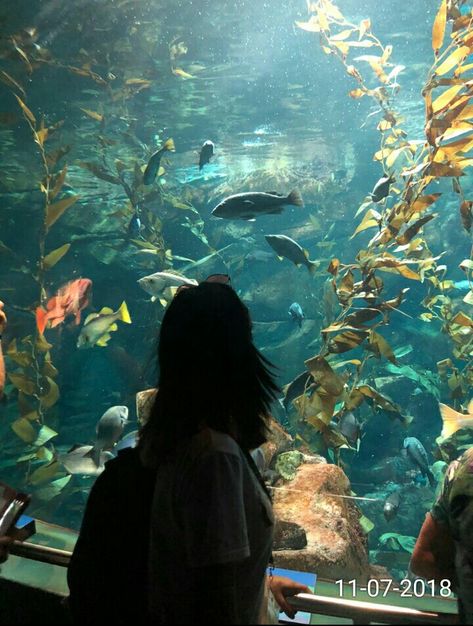 Ripley's Aquarium 💙 Under The Sea Aesthetic, The Sea Aesthetic, Ripleys Aquarium, Aquarium Aesthetic, Sea Aesthetic, 18th Birthday Party, Dream Lifestyle, Toronto Canada, Under The Sea