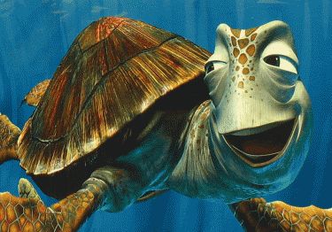 Crush Crush From Finding Nemo, Crush Finding Nemo, Finding Nemo 2003, Swimming Pictures, Walking Dead Funny, Classic Disney Characters, Turtle Love, Disney Fanatic, Kids Party Themes