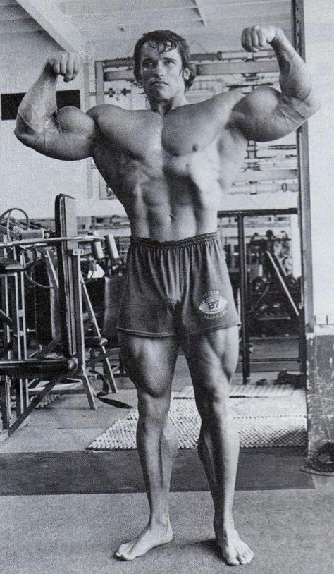 Mr Olympia Bodybuilding, Arnold Schwarzenegger Gym, Arnold Bodybuilding, Arnold Photos, Gym Icon, Women Muscle, Arnold Schwarzenegger Bodybuilding, Schwarzenegger Bodybuilding, Girl Training