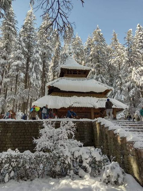 Hadimba temple in Manali with heavy snow ❄️❄️ Nature, Hadimba Temple Manali, Graphic Design Tutorials Learning, Heavy Snow, Life Quotes Pictures, Quotes Pictures, Wallpaper Nature, Hill Station