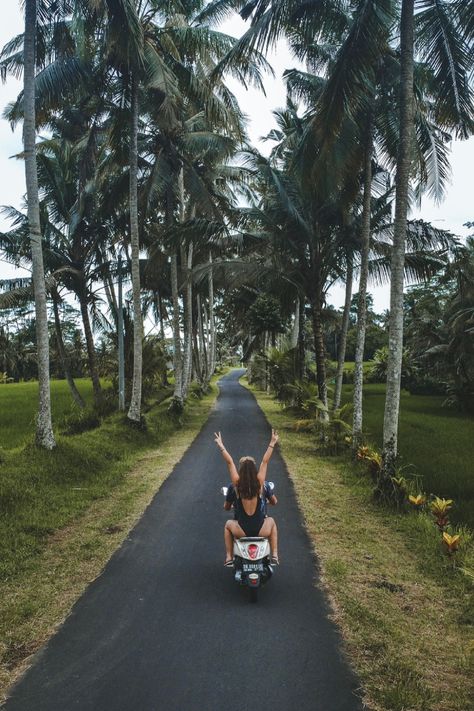 A drone picture showing a young couple hands up on a scooter on a palm tree road with a lot of plants and flowers. Bali Baby, Bali Surf, Freedom Travel, Bali Honeymoon, Bali Vacation, Bali Holidays, Bali Beaches, Island Life Style, Bali Island