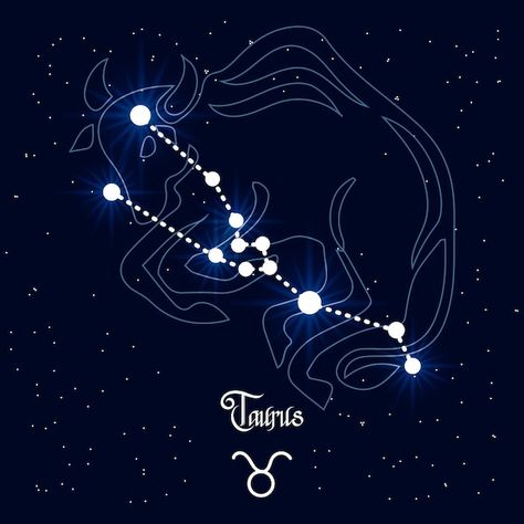 Taurus, constellation and zodiac sign on... | Premium Vector #Freepik #vector #zodiac-background #horoscope-background #zodiac-constellations #horoscope Zodiac Design Illustration, Taurus Star Constellation, Taurus Print, Zodiac Constellation Art, Flower Lily Of The Valley, Taurus Star Sign, Constellation Zodiac Signs, Taurus Art, About Taurus