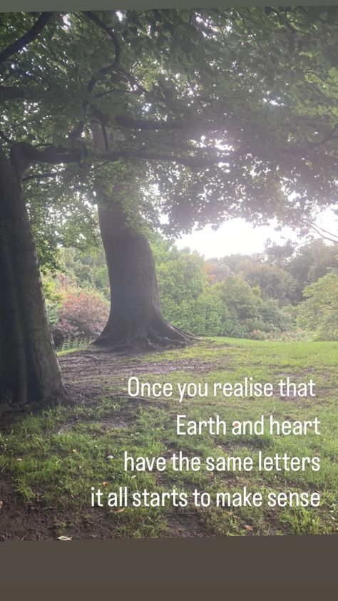 Nature Spirituality, Nature Grounding Quotes, Mother Earth Quotes, Quotes About Earth Nature, Harmony With Nature Quotes, Appreciating Nature Quotes, Trees Quotes Nature Thoughts, Mother Nature Quotes, Earth Quotes