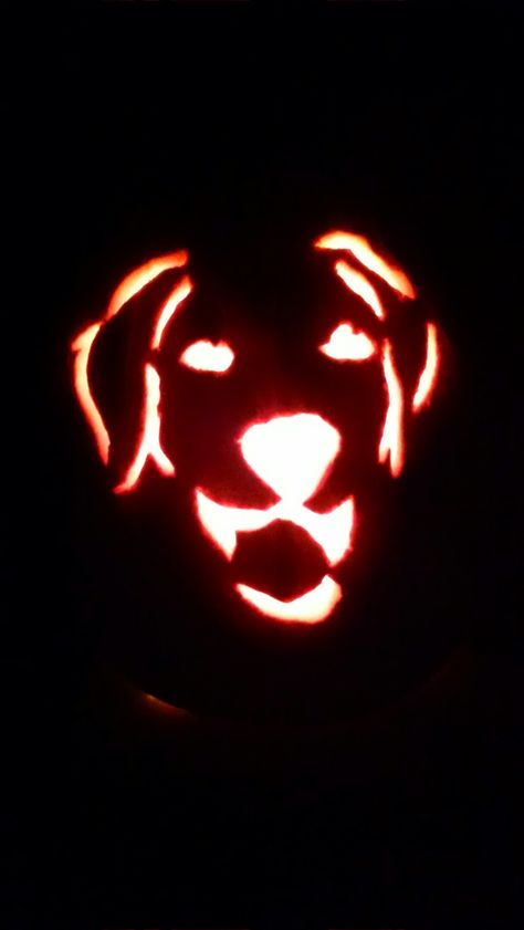 Puppy Pumpkin Carving Ideas, Pumpkin Carving Dog, Pumpkin Carving Dogs Easy, Dog Pumpkin Carving Ideas, Ghost Dog Pumpkin Carving, Pumpkin Carving Weiner Dog, Pumpkin Carving Ideas Dog, Golden Retriever Pumpkin Carving, Golden Retriever Pumpkin