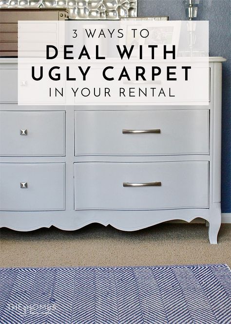 Apartment Bedroom Carpet, Apartment Carpet Covering, Covering Carpet In A Rental, Apartment Decorating With Carpet, Renter Friendly Carpet Cover, Cover Carpet In Rental, Carpet Cover Up Ideas, How To Cover Carpet In A Rental, Carpet Apartment Decor