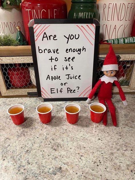 Elf Pee, Elf On The Shelf Pet Ideas, Elf On Shelf Funny, Elf Ideas Easy, Bad Elf, Elf Funny, Elf Magic, Awesome Elf On The Shelf Ideas, Elf Activities