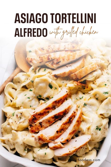 This Asiago Tortelloni Alfredo with Grilled Chicken recipe is a creamy dream come true! Plump cheese-stuffed tortelloni is tossed in a rich, indulgent Alfredo sauce made with heavy cream, butter, and Asiago cheese, resulting in a comforting and satisfying Italian pasta dish. Skip the baking with this Olive Garden dupe that features a quick spice rub and store-bought tortelloni. It is perfect for quick weeknight dinners or special occasions. Find the recipe and video tutorial on my blog now! Asiago Recipes, Tortellini Alfredo, Grilled Chicken Recipe, Italian Pasta Dishes, Asiago Cheese, Cream Butter, Cheese Stuffed, Spice Rub, Quick Weeknight Dinners