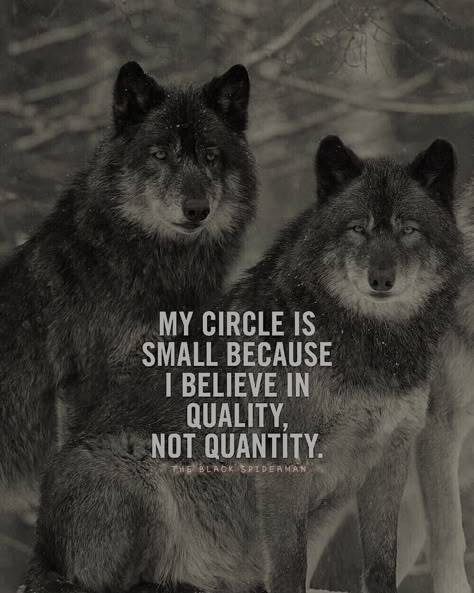 Wolf Pack Quotes, Inspirational Animal Quotes, Lone Wolf Quotes, Twisted Quotes, Inspirational Life Lessons, Wolf Quotes, Strong Mind Quotes, Mom Life Quotes, Man Up Quotes