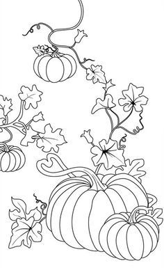 Pumpkin Vine Coloring Pages Pumpkin Coloring, Vine Drawing, Vegetable Coloring Pages, Pumpkin Vine, Pumpkin Drawing, Pumpkin Coloring Pages, Thanksgiving Coloring Pages, Fall Coloring Pages, Pumpkin Colors