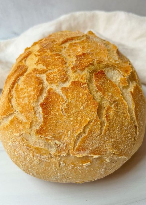 Gluten Free Bread No Knead, Low Gluten Bread, Gf No Knead Bread, Gluten Free Skillet Bread, Gluten Free No Knead Bread, Gf Bread Recipes, Gluten Free Crusty Bread, Easy Gluten Free Bread, Bread Braid