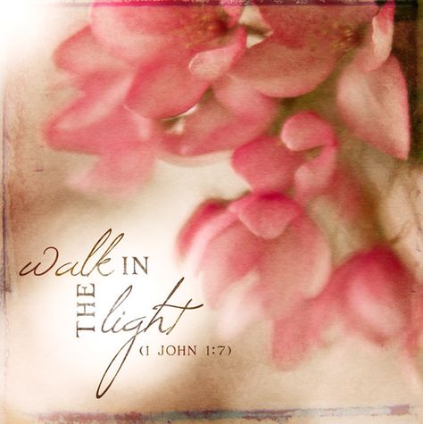 walk in the light by michelle shefveland, via Flickr 1 John 1 7, Walk In The Light, Beautiful Scripture, Light Of The World, Biblical Quotes, Walk By Faith, Jesus Is Lord, Son Of God, Interesting Photos