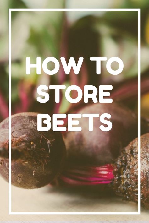 Don't let your beets go off - preserve them properly and they'll last for months. In this article I talk you through some of the best ways to store and preserve beetroot and their relatives at home - especially useful if you're a gardener. How To Preserve Beetroot, Beetroot Preserving, Preserving Beetroot, How To Store Beets, Pine Shavings, Beetroot Recipes, Seed Starter Kit, Storing Vegetables, Golden Beets