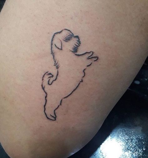 Dog Tattoo Ideas Minimalist Shih Tzu, Dog Tattoo Ideas Shih Tzu, Shih Tzu Minimalist Tattoo, Dog Line Art Tattoo Shih Tzu, Shih Tzu Memorial Tattoo, Shin Tzu Tattoo, Shitzu Tattoo Ideas, Shih Tzu Tattoos, Shih Tzu Outline Tattoo