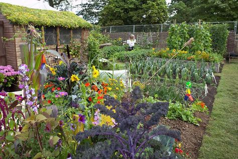 Allotments: how get the best from your plot / RHS Gardening Permaculture, Allotment Inspiration, Allotment Plan, Allotment Ideas, Cold Frames, Veg Patch, Allotment Gardening, Garden Plots, Veg Garden