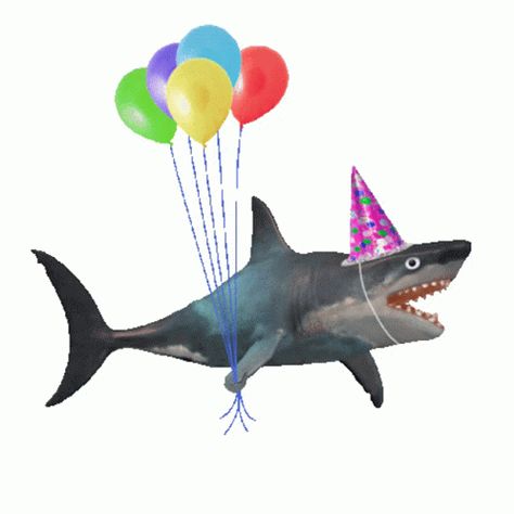 Shark Gif, Shark Balloon, 1366x768 Wallpaper, Shark Pictures, Cute Shark, Shark Birthday, Weird Things, Silly Images, Silly Animals