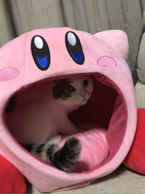 Kirby Cat Bed, Cute Cat Things To Buy, Cat Beds Aesthetic, Aesthetic Cat Supplies, Cat Kirby, Dorm Cat, Video Game Room Design, Cat Things, Cute Bedroom Decor