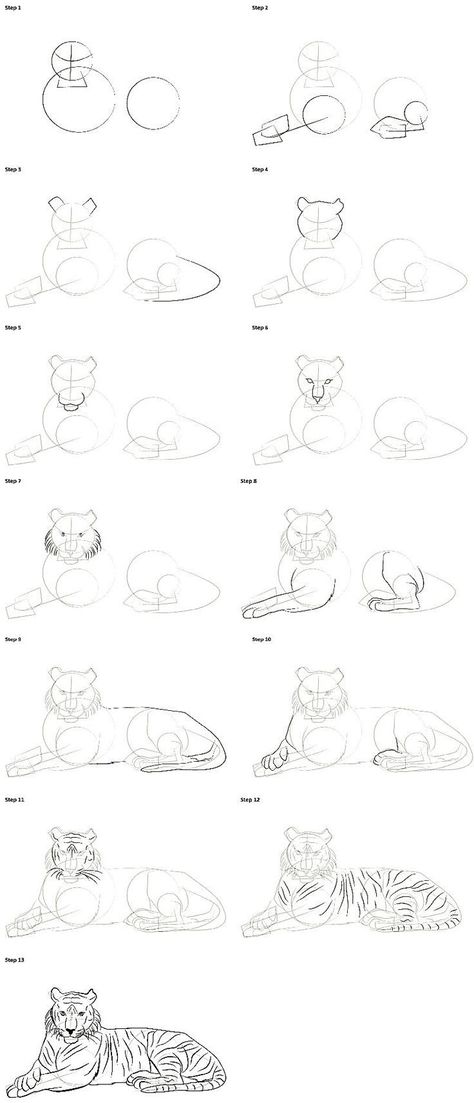 Drawing Ideas Tiger, Tiger Sketch Easy, How To Draw Zoo Animals Step By Step, Tiger Laying Down Drawing, Drawing Tiger Easy, How To Draw Big Cats, Tiger Drawing Easy Step By Step, How To Draw Nature Step By Step, Tiger Reference Drawing