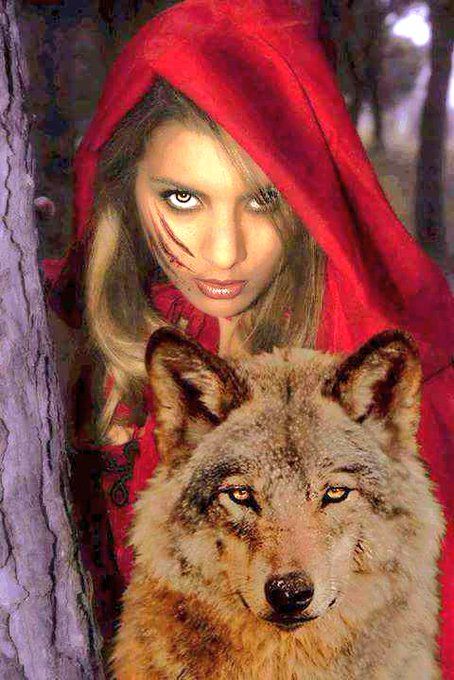 Twitter Illustration Fantasy, Wolves And Women, Wolf Images, Wolf Quotes, She Wolf, Wolf Love, Wolf Pictures, Beautiful Wolves, Wolf Spirit