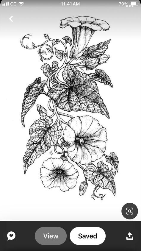 Moon Flower Vine Tattoo, Flower Vine Tattoos, Vine Tattoos, Moon Flower, Flowering Vines, Vines, Tattoos, Flowers