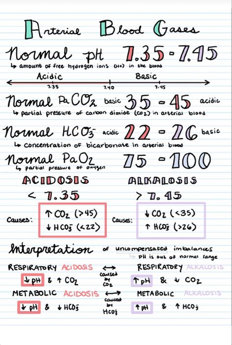 Arterial Blood Gases, Doctor Notes, Nursing School Studying Cheat Sheets, Nursing School Organization, Nursing Study Tips, Medical Assistant Student, Paramedic School, Nursing Information, Nursing School Essential