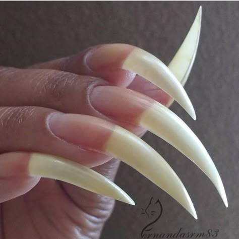 Claw Acrylic Nails, Kitty Claws Nails, Real Long Nails, Cat Claw Nails, Nails Short Acrylic Almond, Short Acrylic Almond, Talon Nails, Very Long Nails, Acrylic Nails Stiletto