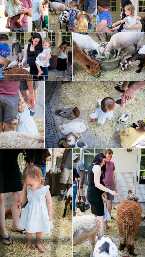 Petting Zoo Wedding, Petting Zoo Birthday Party Ideas, Zoo Birthday Party Ideas, 2nd Birthday Party Ideas, Petting Zoo Birthday Party, Petting Zoo Birthday, Petting Zoo Party, Zoo Birthday Party, Farm Theme Birthday