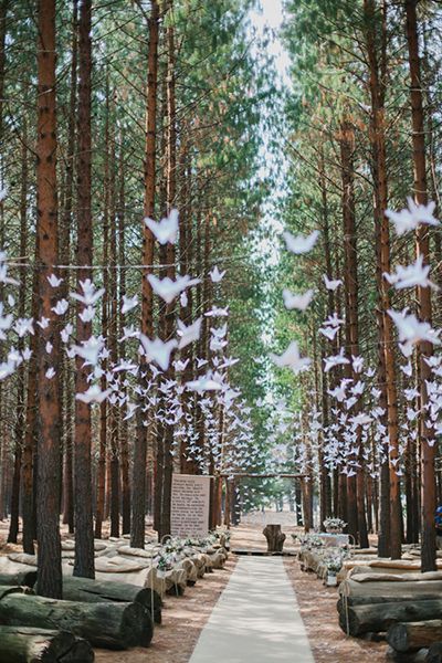 Your ceremony decorations don’t have to cost a fortune to make an impact. Here, get inspired by these cost-effective options. #WeddingCeremonyDécorIdeas #BudgetFriendlyCeremonyIdeas #BudgetFriendlyWeddingDécor Cheap Wedding Decorations, Forest Theme Wedding, Origami Wedding, Enchanted Forest Wedding, Salou, Wedding Ceremony Decorations, Woodland Wedding, Wedding Event Planning, Wedding Guide