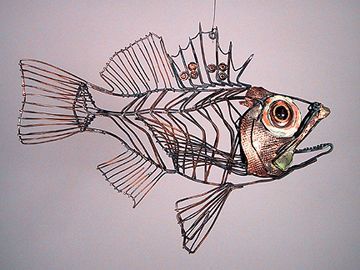 Scorpion Fish, Art Fil, Wire Art Sculpture, Art Doodles, Art Wire, Sculpture Projects, Metal Fish, Wire Drawing, Fish Sculpture