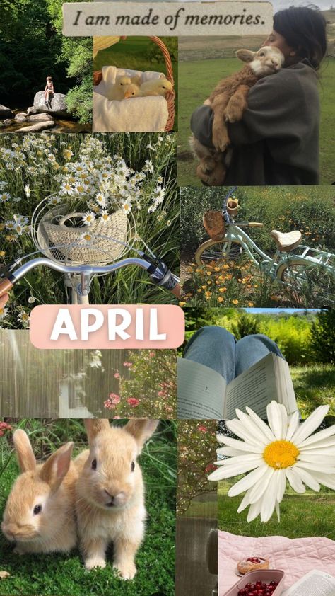 #months aesthetics #april #✨🫶💕 April Aesthetic Collage, April Month Aesthetic, April Asethic, April Aesthetic Month, May Aesthetic Month, April Collage, Monthly Backgrounds, April Mood Board, Monthly Aesthetic