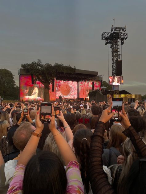 Lana Del Rey Hyde Park, Lana Del Rey Concert Aesthetic, Live Concert Aesthetic, Lana Del Ray Concert, Lana Del Rey Festival, Lana Concert, Queen Concert, Hangout Festival, Lana Del Rey Tour