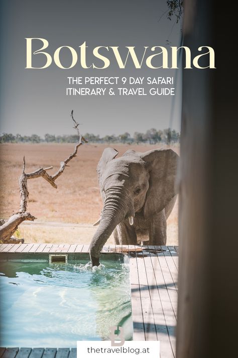 Are you planning a trip to Botswana? We travelled to Botswana for 9 days at the start of the high season in June and will let you in on everything we learned and discovered along the way. In this blogpost we’re sharing our itinerary for 9 days in Botswana. During these 9 days we covered the most important regions from the #Chobe National Park in the North to the #Okavango Delta and even the incredible #Makgadikgadi Salt Pans! Click to find out more about #Botswana and a #safari of a lifetime. Botswana Flag, Traveling Destinations, Travel Safari, Botswana Travel, African Adventure, Botswana Safari, Chobe National Park, Africa Adventure, Travel Africa