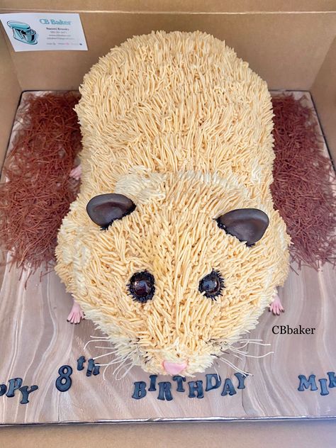 Hamster Cake Ideas, Hamster Themed Birthday Party, Hamster Cake Birthday, Hamster Cupcakes, 3d Cakes Ideas, Hamster Birthday Party, Hamster Party, Hamster Birthday, Birthday Cake Pinterest