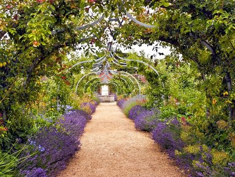 Formal English Garden Design, English Garden Pool, English Garden Ideas, Lawn Borders, English Garden Style, English Garden Design, English Gardens, Formal Garden, Garden Design Plans