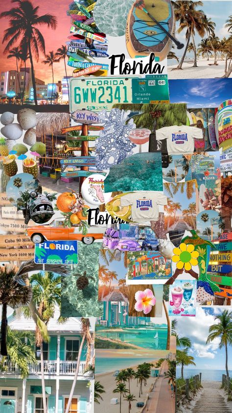 Florida 🥥 Moving To Florida Aesthetic, Florida Mood Board, Miami Vision Board, Florida Vision Board, Florida Living Aesthetic, Ft Lauderdale Florida Things To Do, Florida Wallpaper Iphone, Tampa Florida Aesthetic, Florida Collage