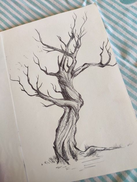 Shaded Tree Drawing, Pencil Art Drawings Trees, 3d Tree Drawing, Drawing Ideas Trees Nature, Large Tree Drawing, Drawing Trees Pencil Sketch, Tree Study Drawing, Sketchbook Art Inspiration Nature, Leafless Tree Drawing